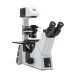 Microscope Trinocular (fixed 50/50), 45° inclined., Eyepieces: WF10X/24, IM-5 Optika Italy